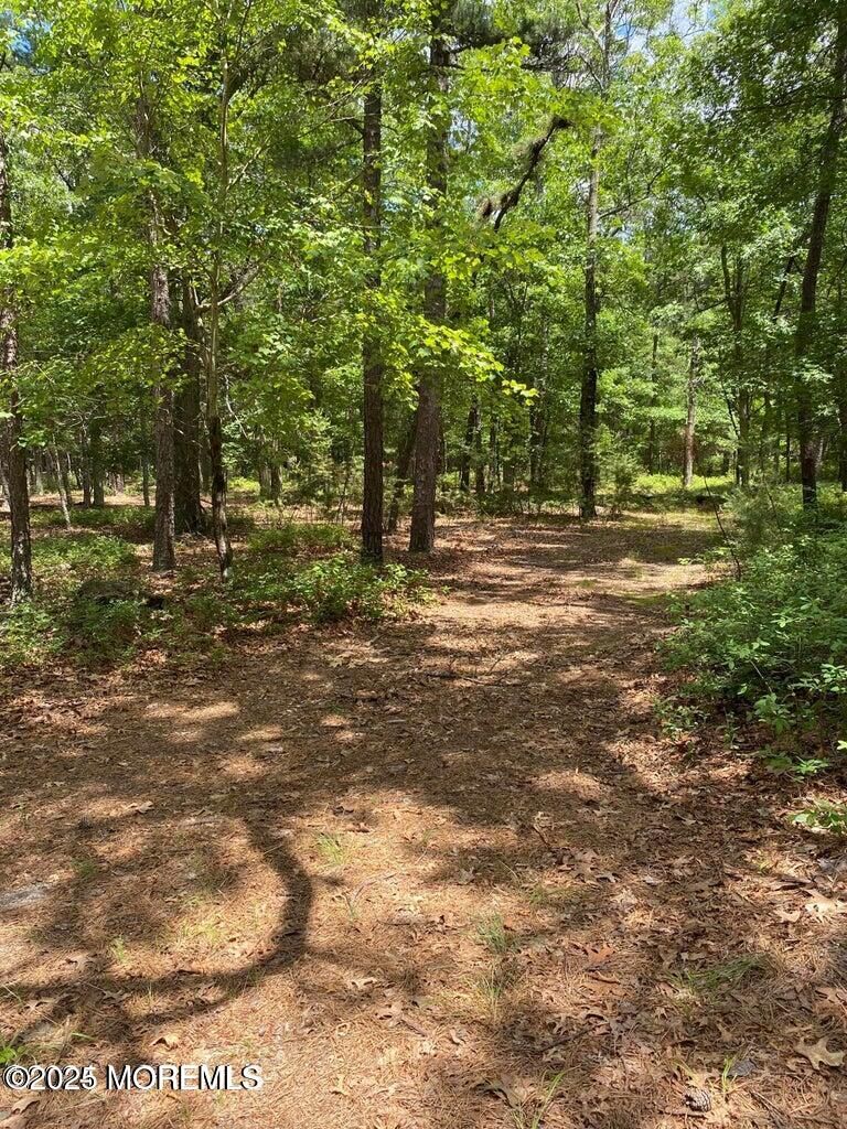 Property Photo: 103 Buckingham Road NJ 08759