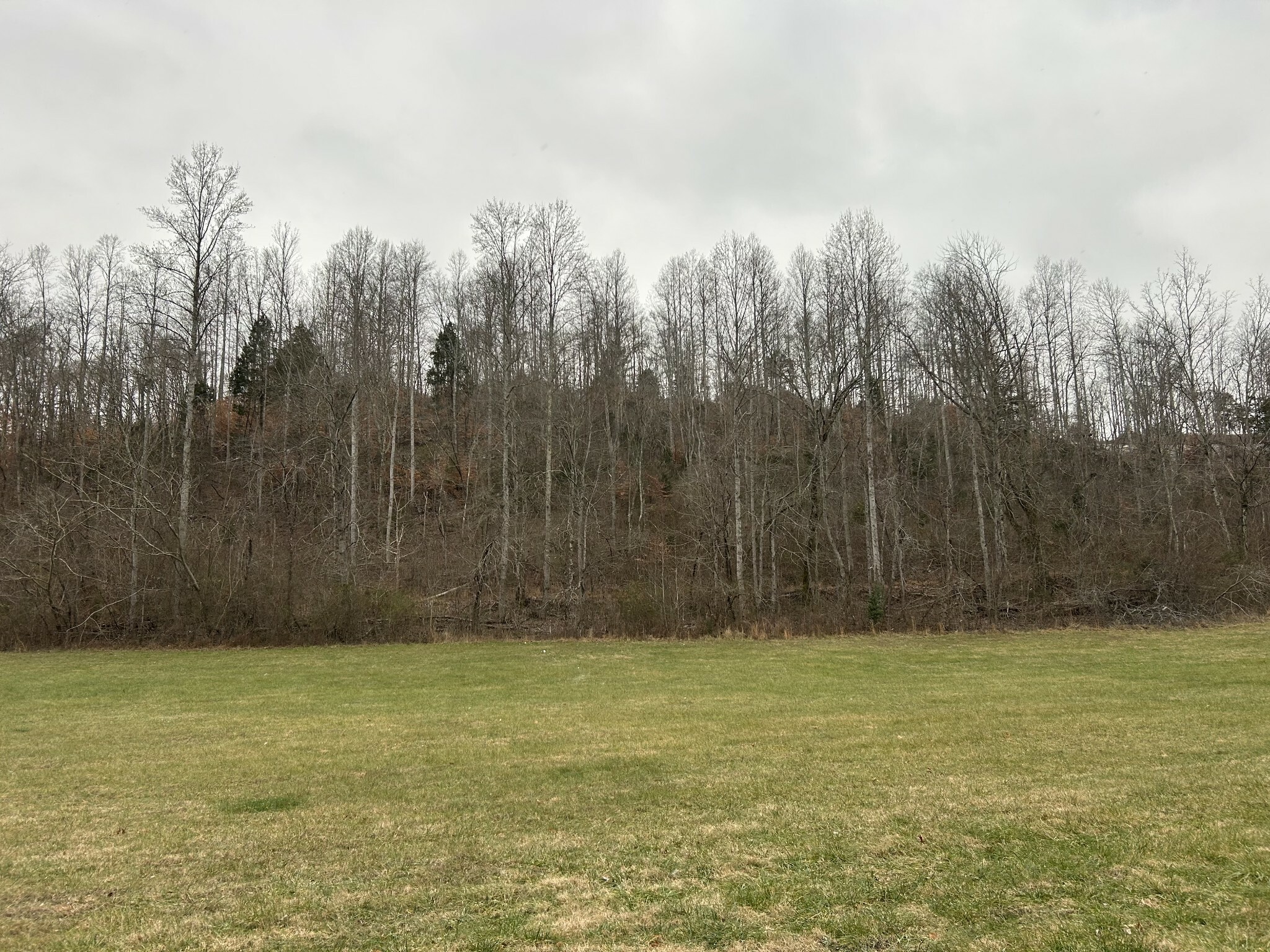 Property Photo:  1019 Weakley Creek Rd  TN 38464 