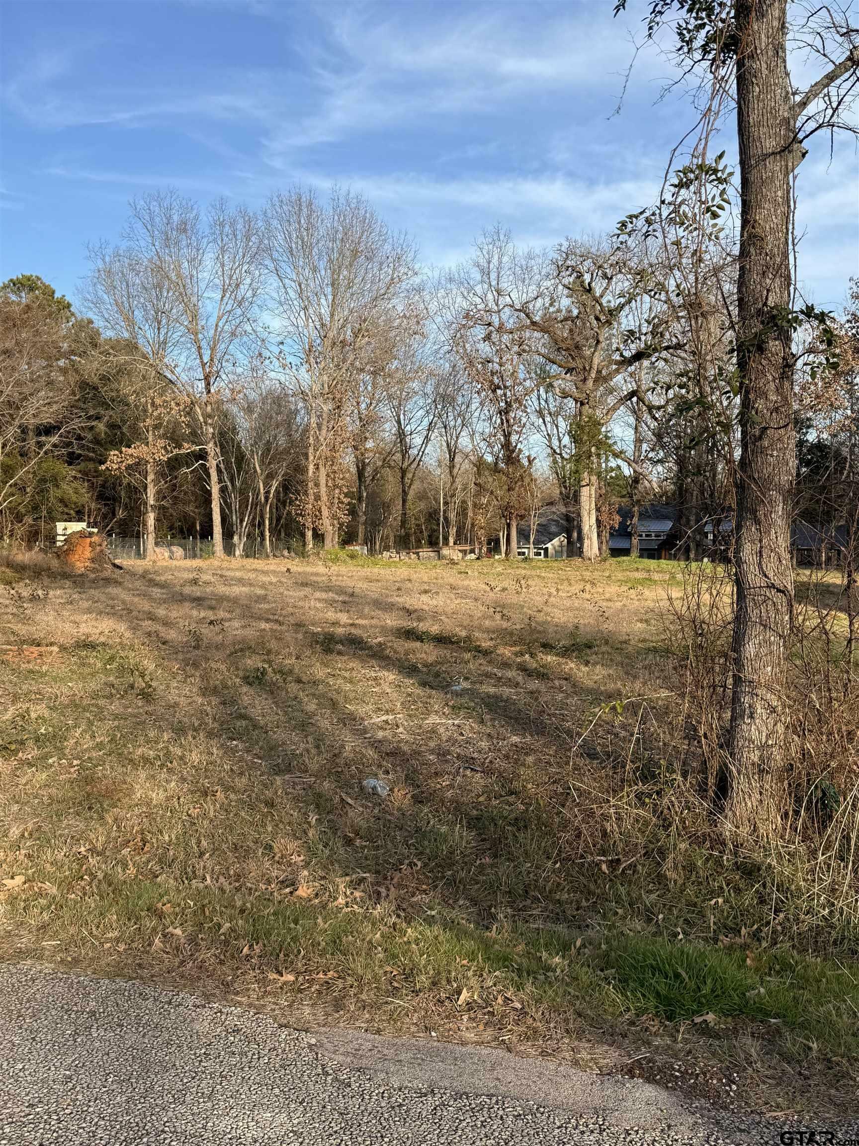 Property Photo:  17468 Cr 479 (Lot 5)  TX 75771 