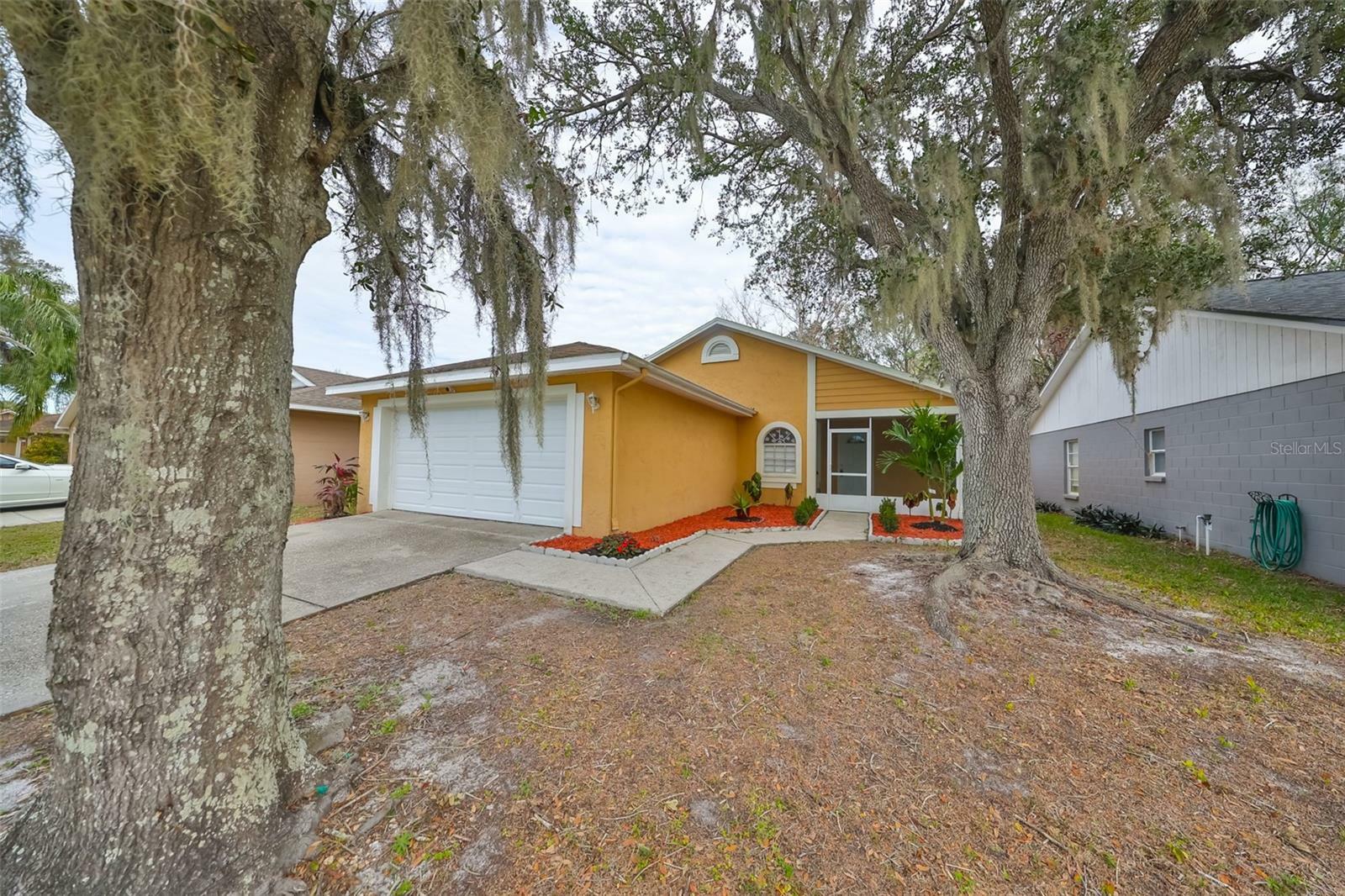 Property Photo:  10828 Peppersong Drive  FL 33578 