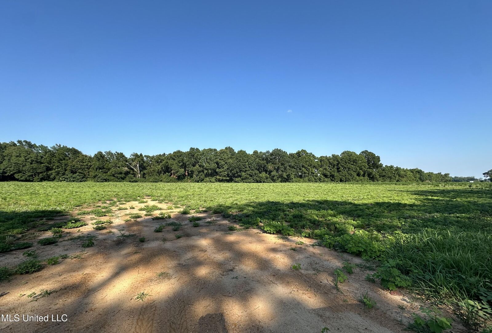 Property Photo: Lot 2 Marshall Smith Road MS 39452