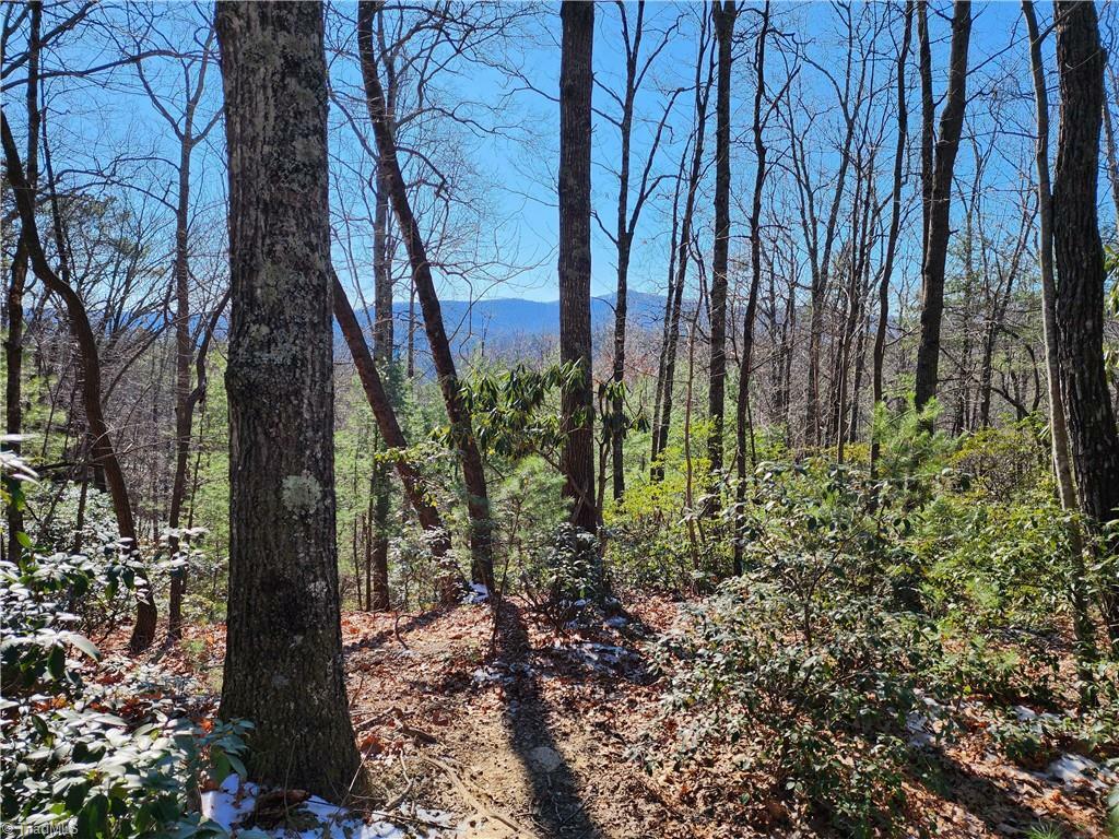 Property Photo: 000 Mountain Vista Drive NC 28649