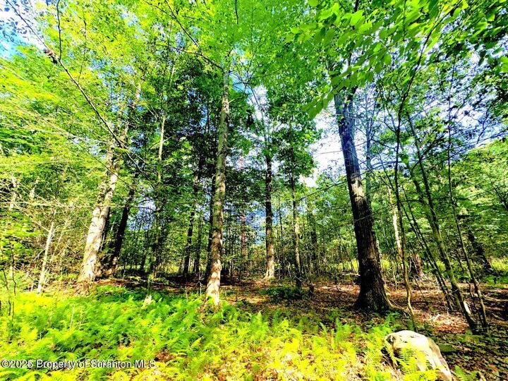 21-24 Ridge Road  Pocono Lake PA 18347 photo