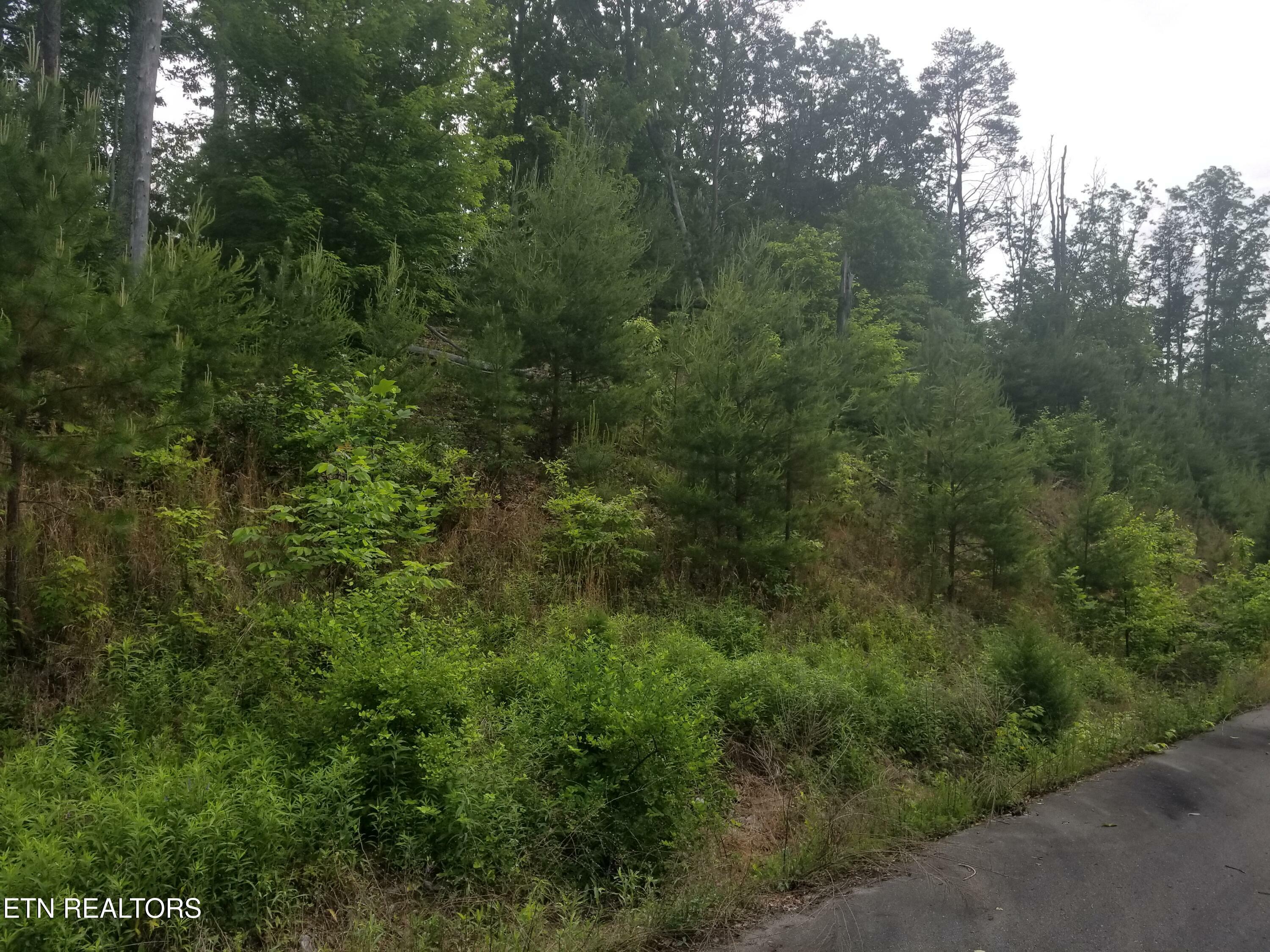 Property Photo:  Lot 33 Bayside Blvd  TN 37708 