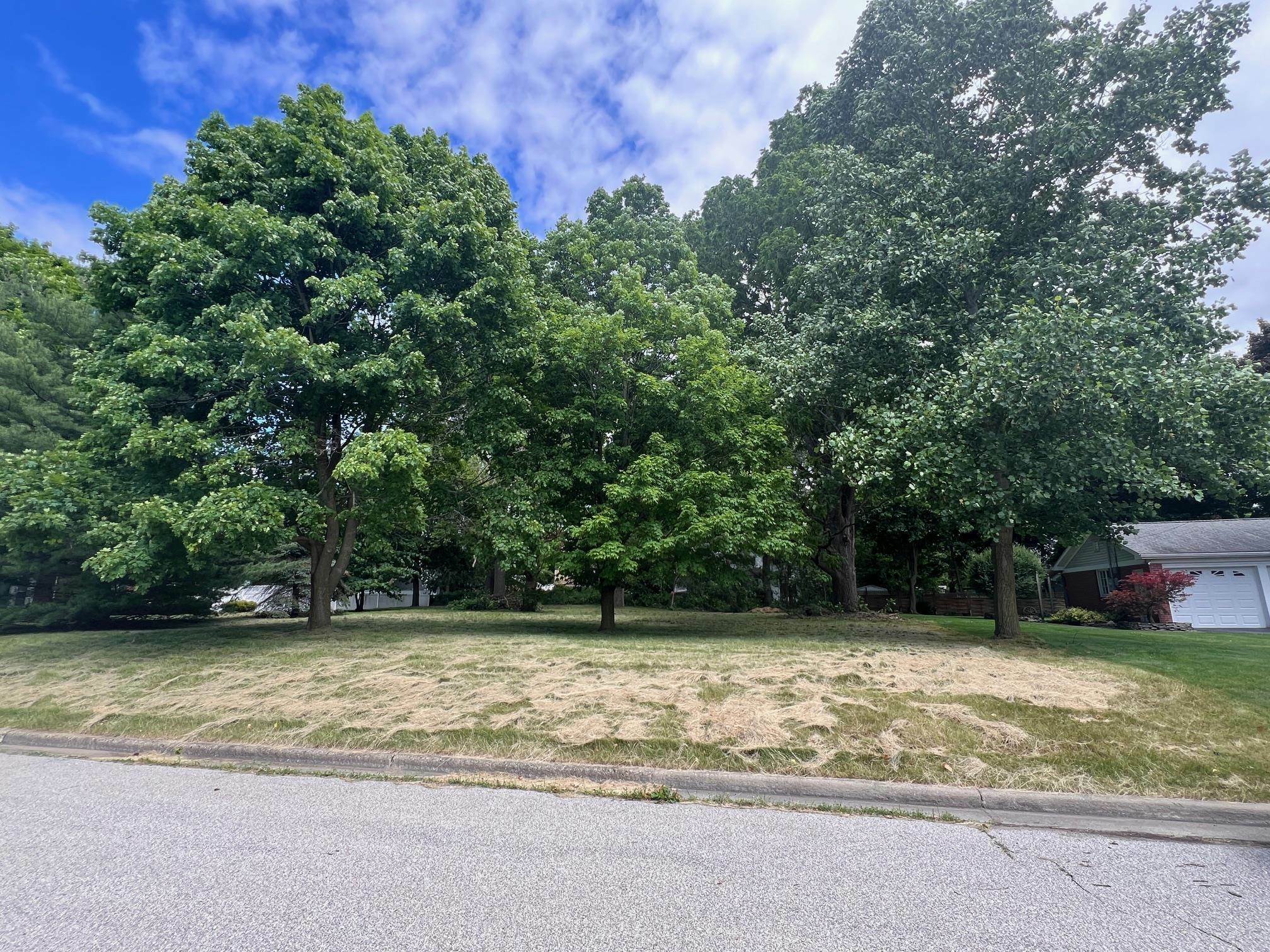 Property Photo:  1252 Ada Street  MI 48867 