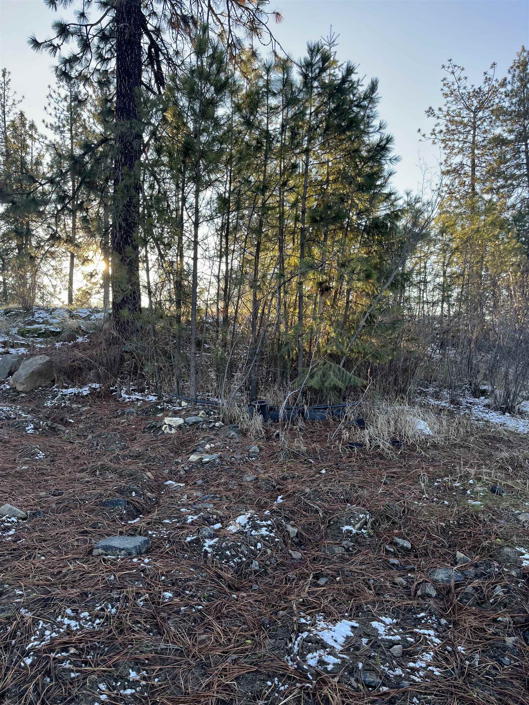 Property Photo:  5315 W Lawton Rd  WA 99224 