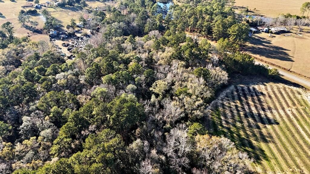 Property Photo:  00 Tired Creek Rd.  GA 39897 