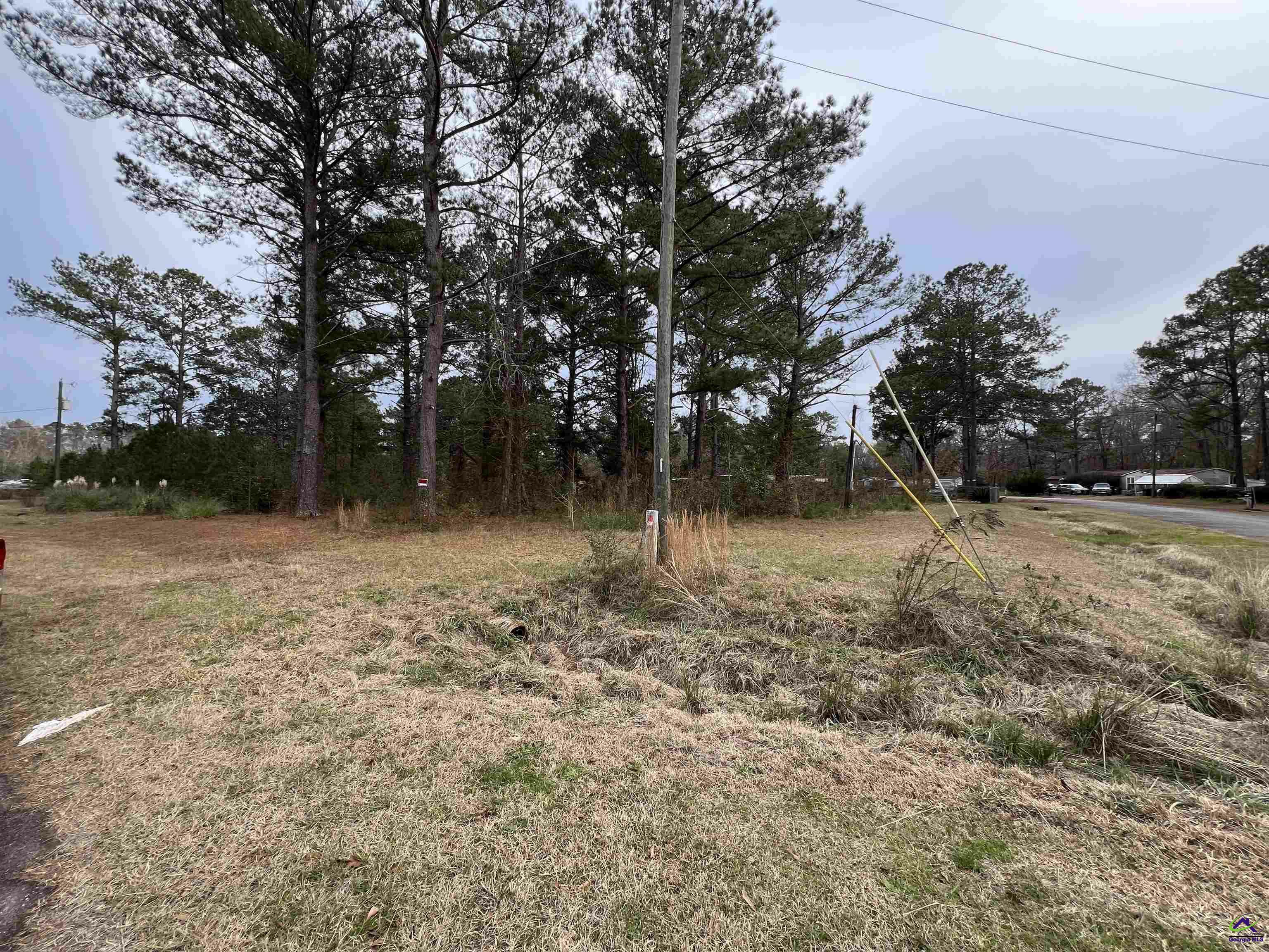 113 Persimmon Drive  Kathleen GA 31047 photo