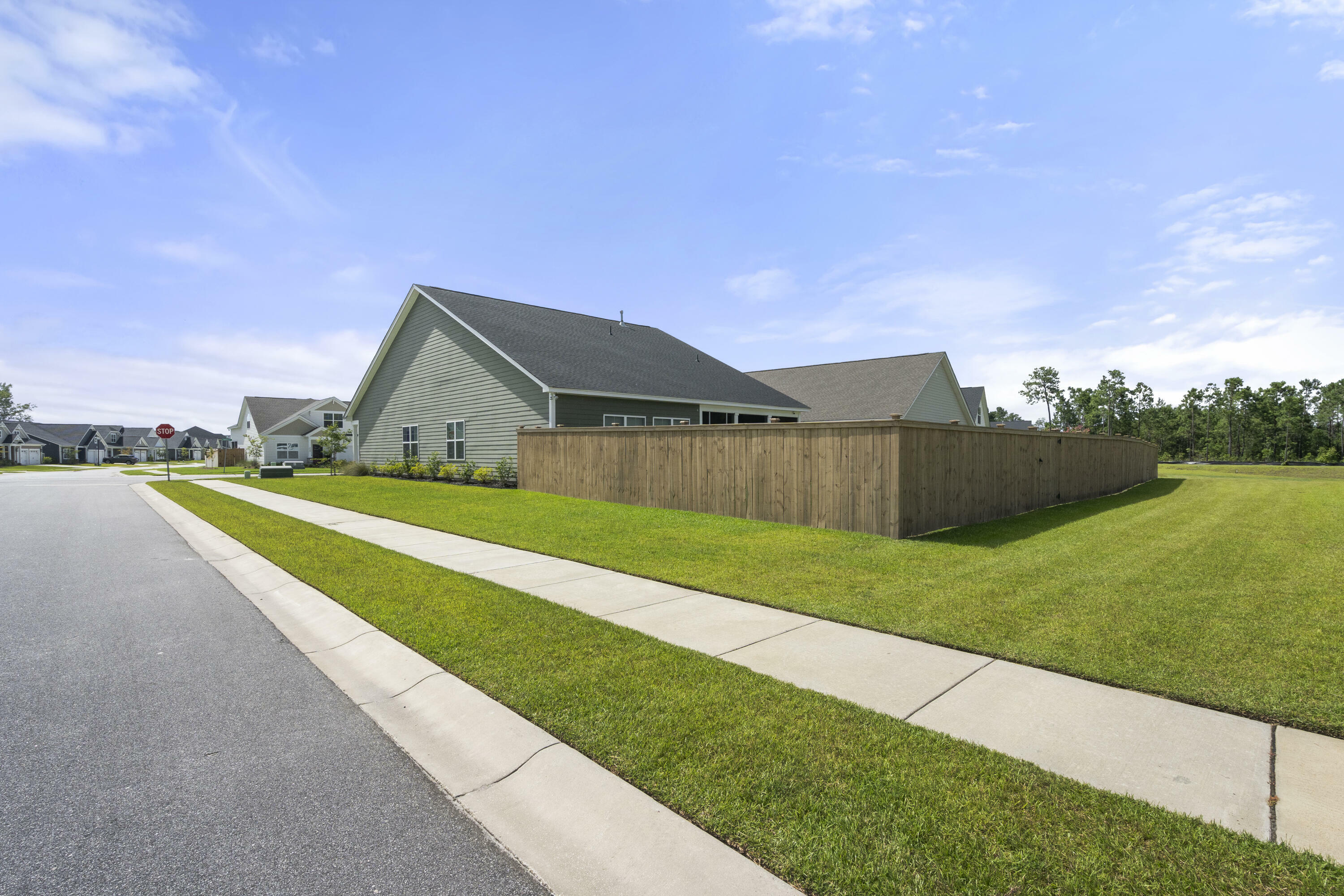 Property Photo:  224 Fiddleback Drive  SC 29486 