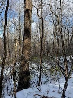19N Fox Run Lane  Jasper GA 30143 photo