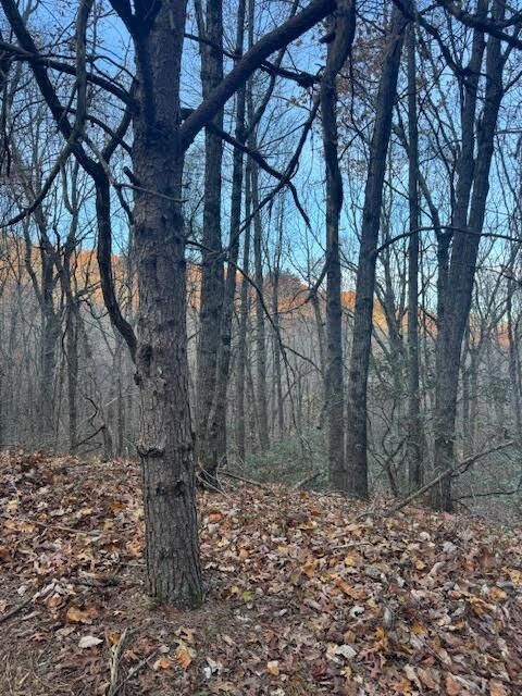 Property Photo:  19N Fox Run Lane  GA 30143 