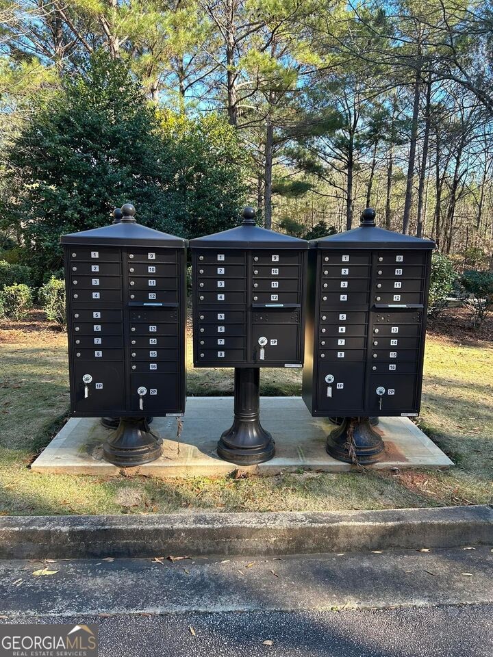 Property Photo:  178 Wolf Creek Cove  GA 30240 