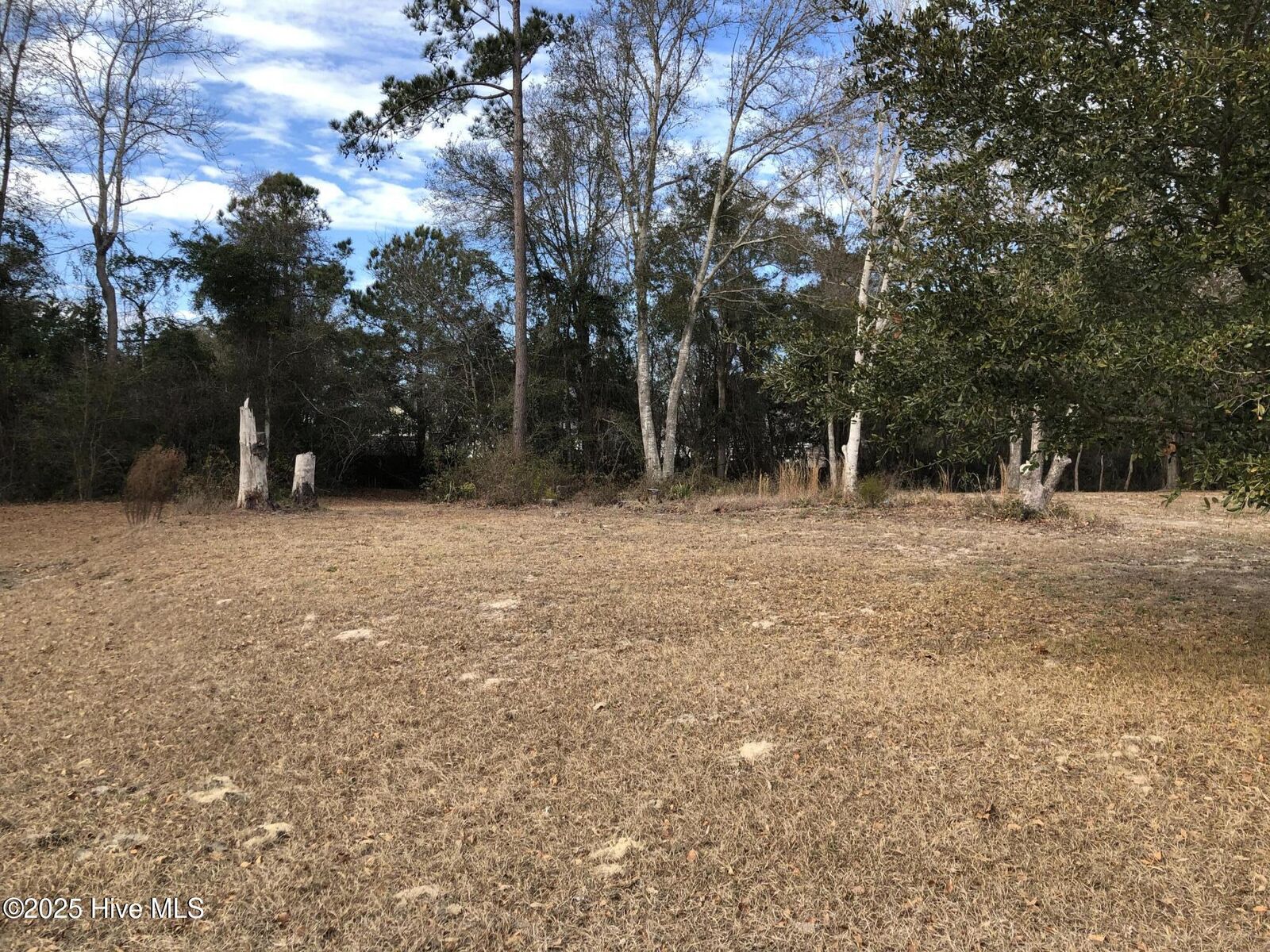 Property Photo:  Lot 2 Frye Lane  NC 28460 