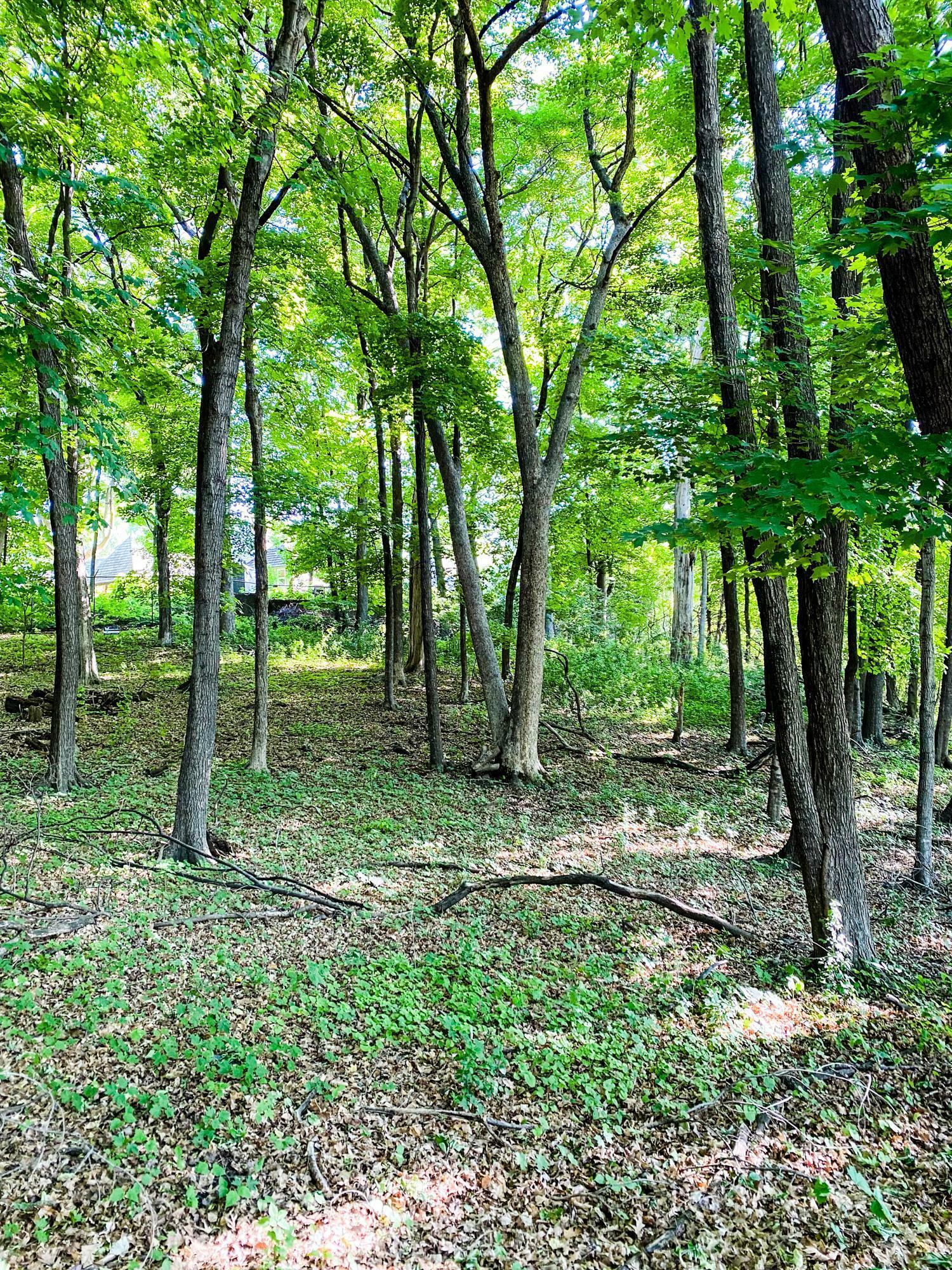 Property Photo:  254 Bushaway Road  MN 55391 