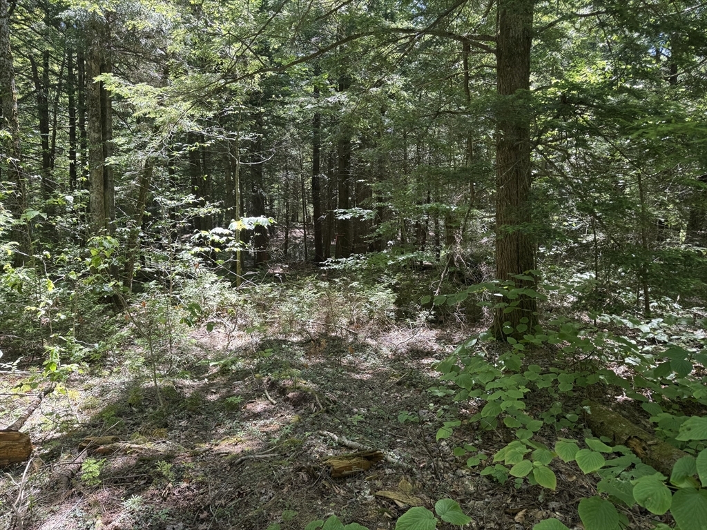 Property Photo: 0 Old Stage Rd MA 01330