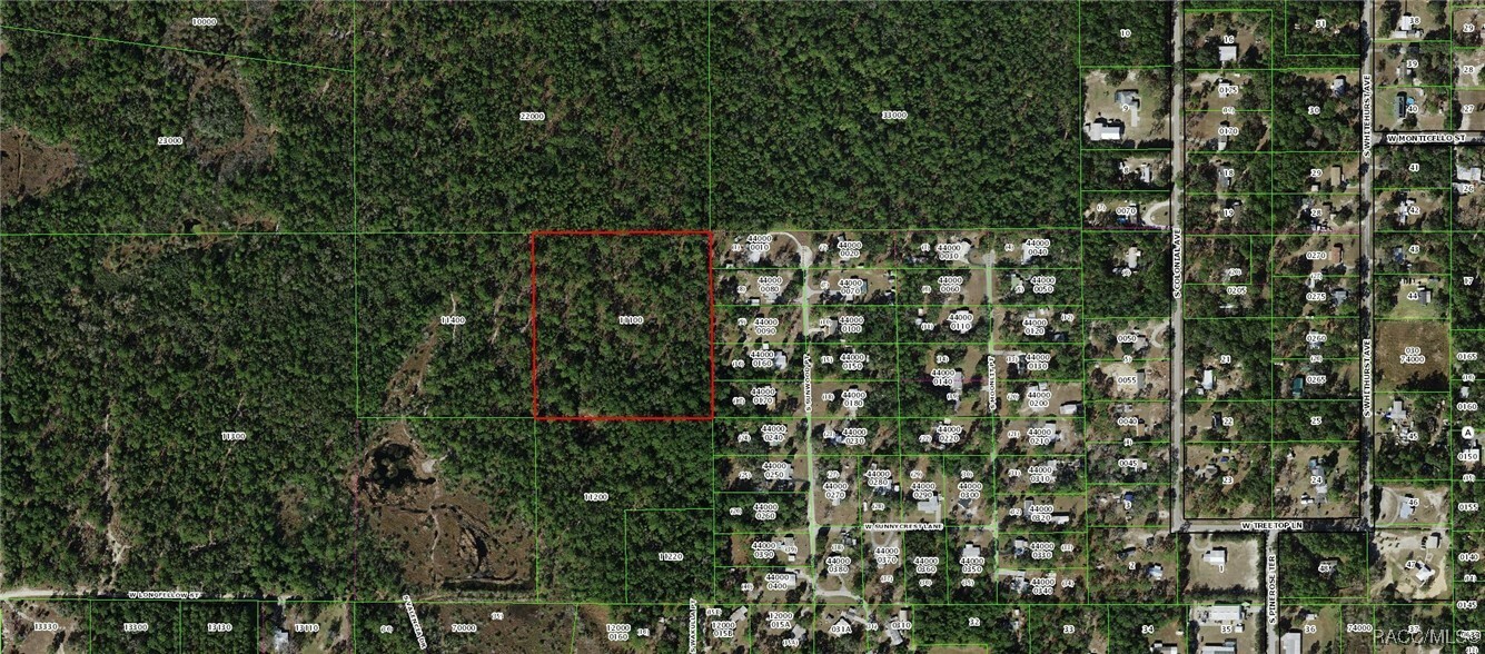Property Photo: 7075 W Longfellow Street FL 34448