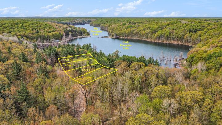 Unit 3 Lakeview Drive  Gaylord MI 49735 photo