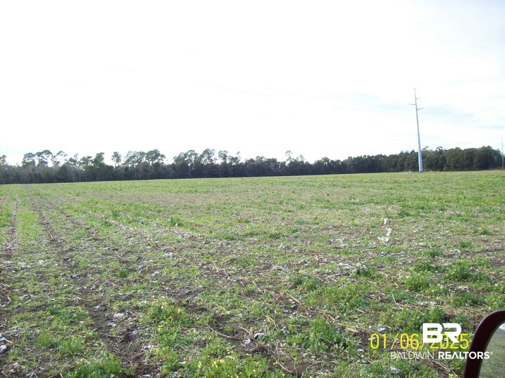 Property Photo:  0 County Road 28  AL 36580 