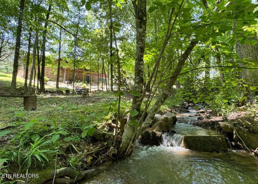 Property Photo: 2561 Black Bear Lane TN 37876