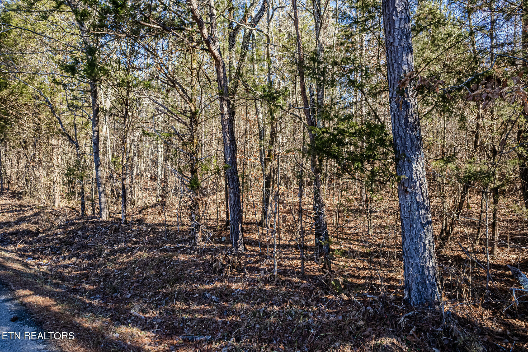 Property Photo:  5 Acres S Nopone Valley Rd  TN 37322 