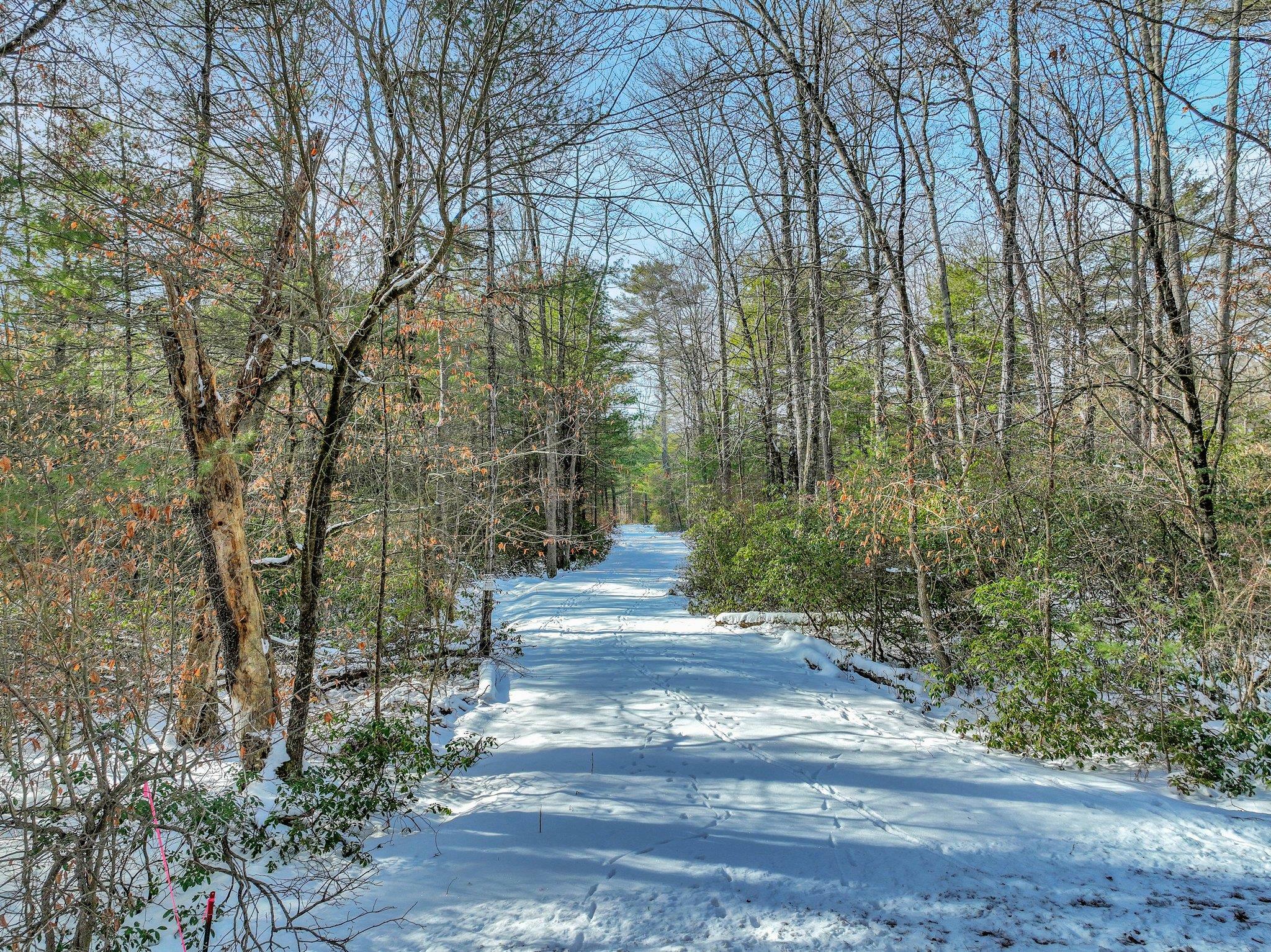 Property Photo:  1253 Plank Road  NY 12777 