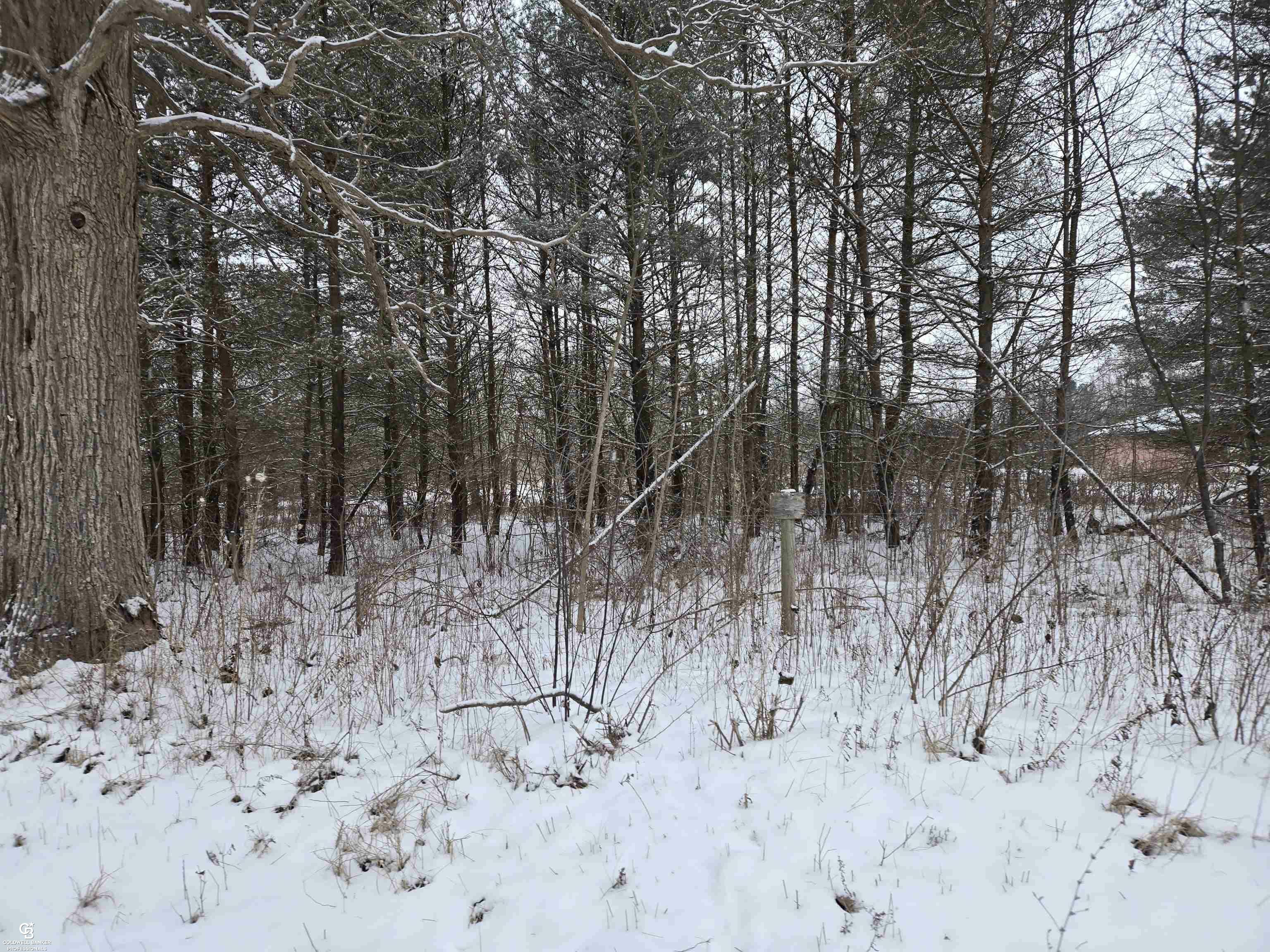 Property Photo:  0 Capac Vl Road  MI 48014 