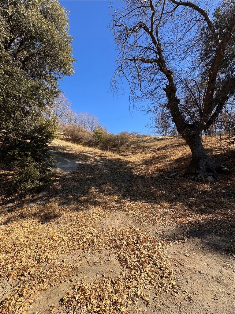 Property Photo: 29685 Hickory Drive CA 92321