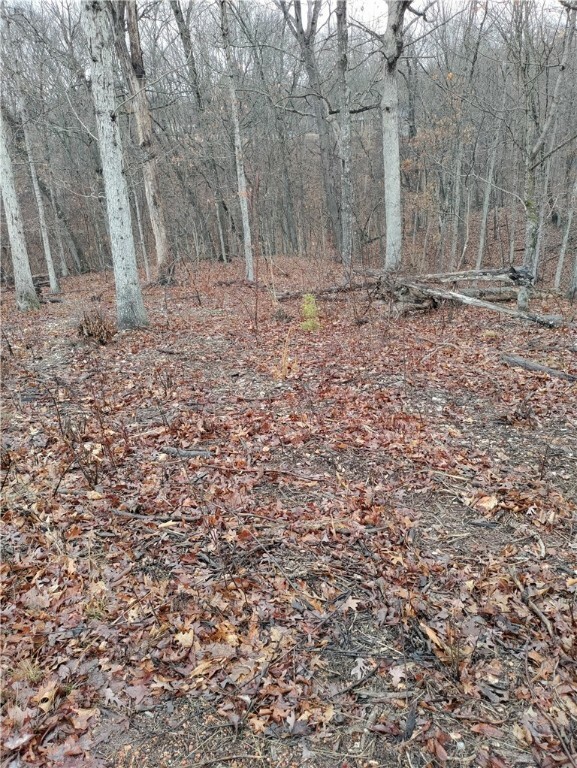 Property Photo:  Lot 4, Block 7 Beith Drive  AR 72715 