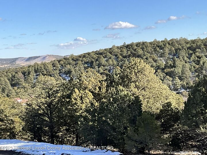 Lt 36 Blk3 Sulkey Court 3  Nogal NM 88341 photo