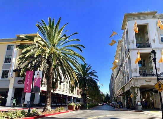 Property Photo:  333 Santana Row 239  CA 95128 