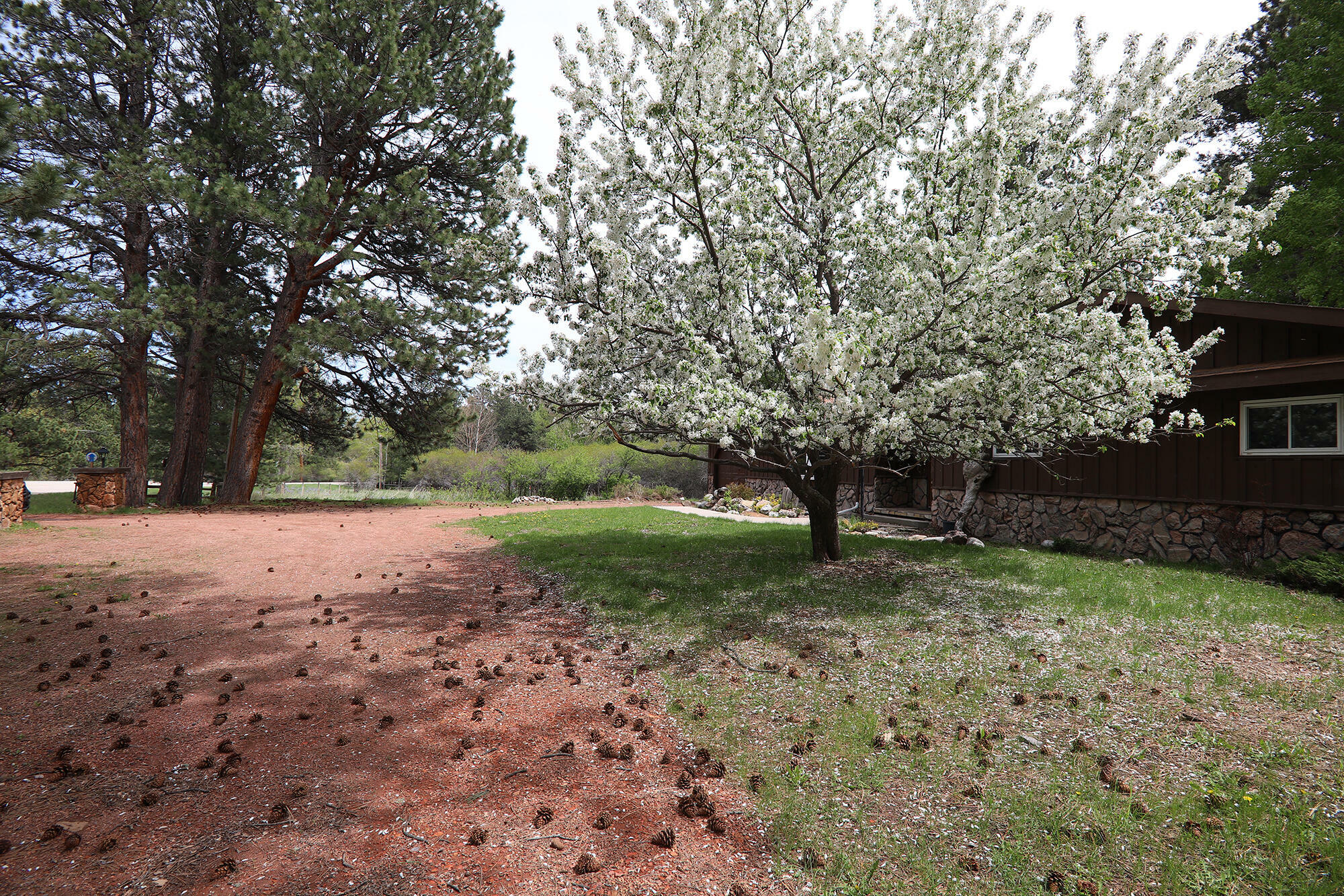 Property Photo: 130 N Piney Road WY 82842