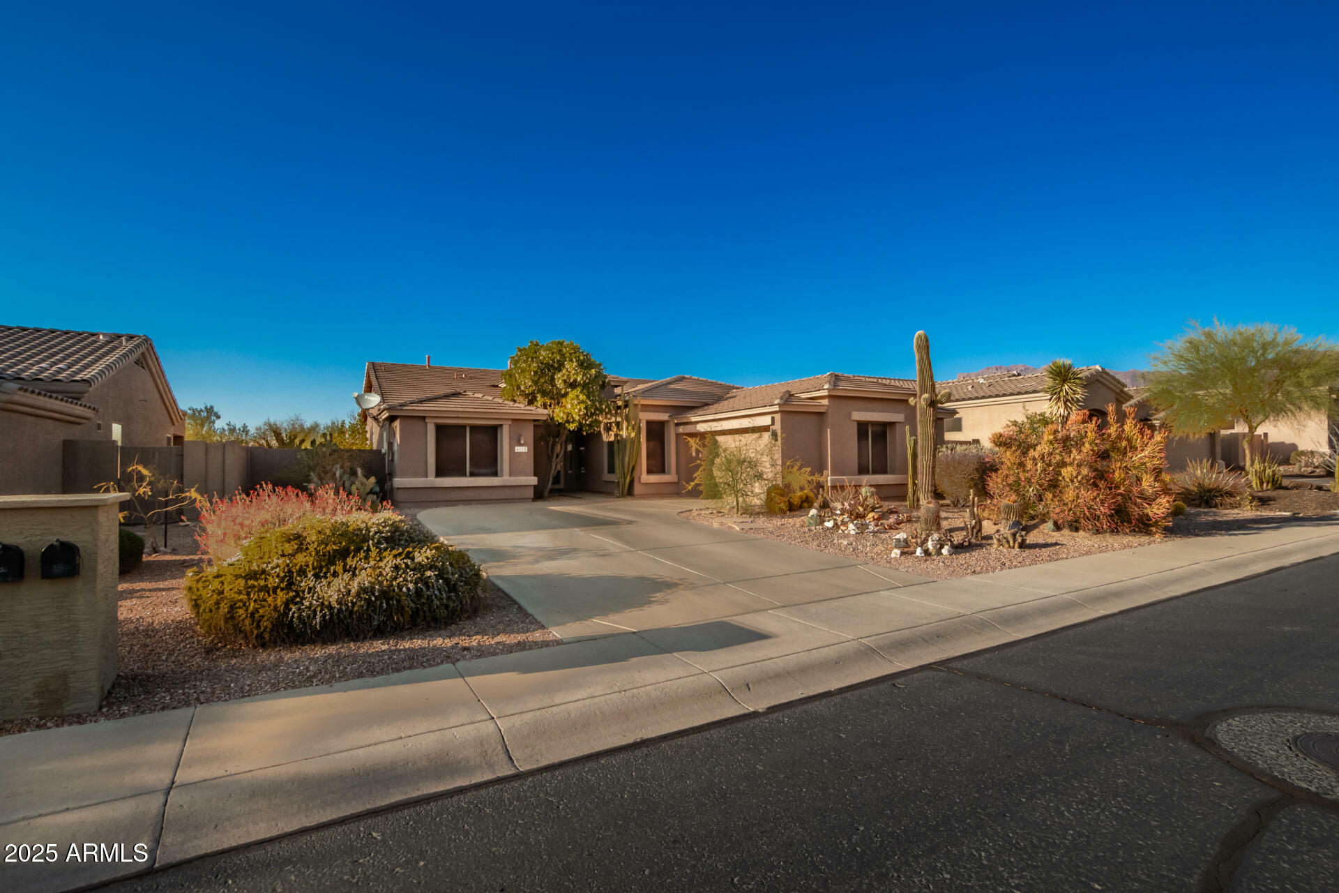 4112 S Prairie Zinnia Drive  Gold Canyon AZ 85118 photo