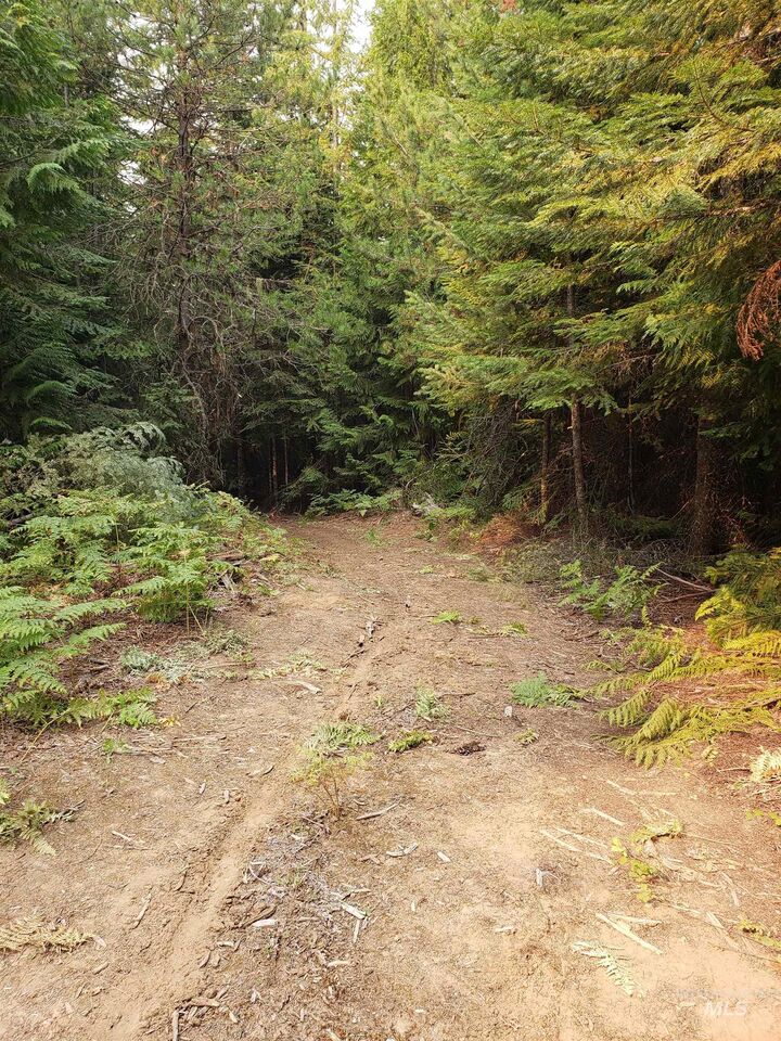 Property Photo: 80 E Ridge Dr. (Tract 8) ID 83861