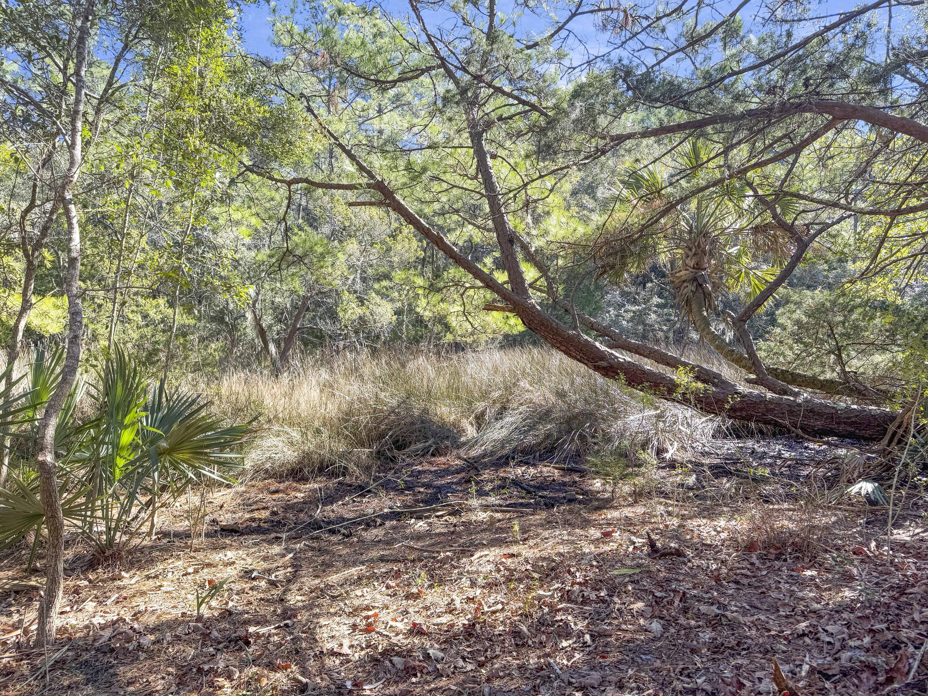 Property Photo: 5528 Chisolm Road SC 29455