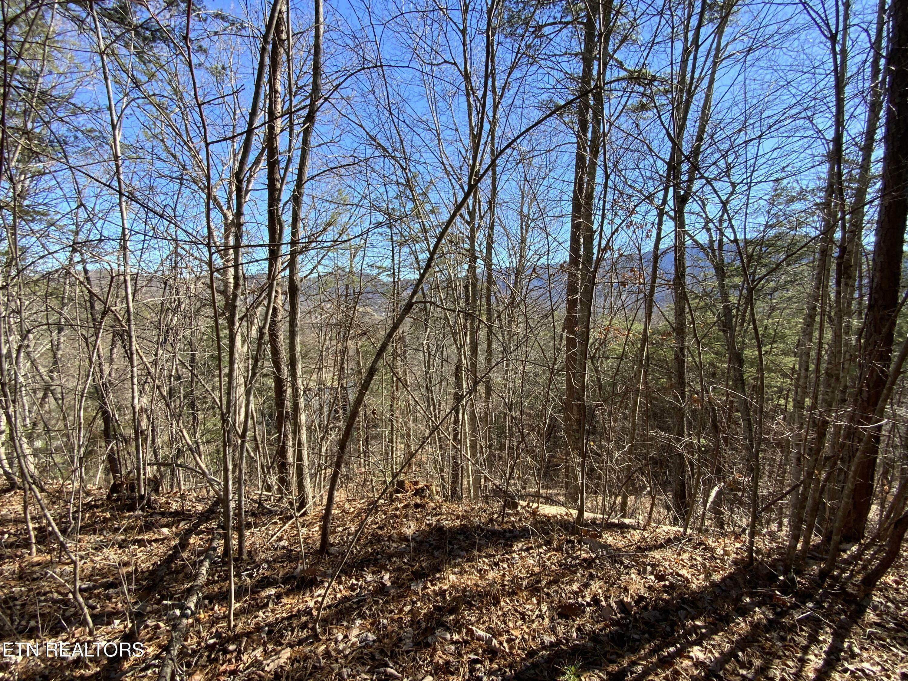 Property Photo:  Lot 7-R Hatcher Mountain Rd  TN 37862 