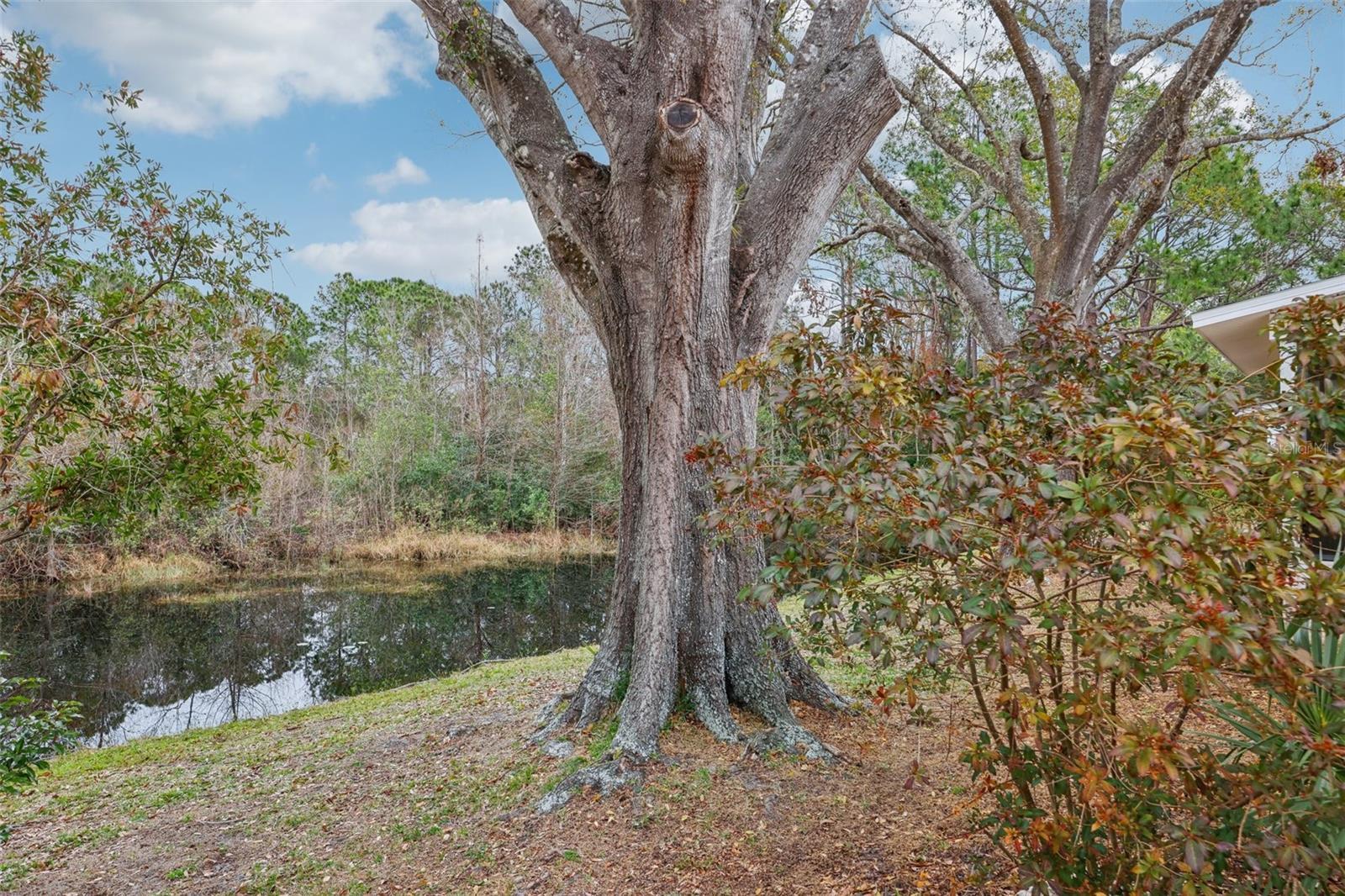 Property Photo:  312 Brigadoon Circle 312  FL 34788 