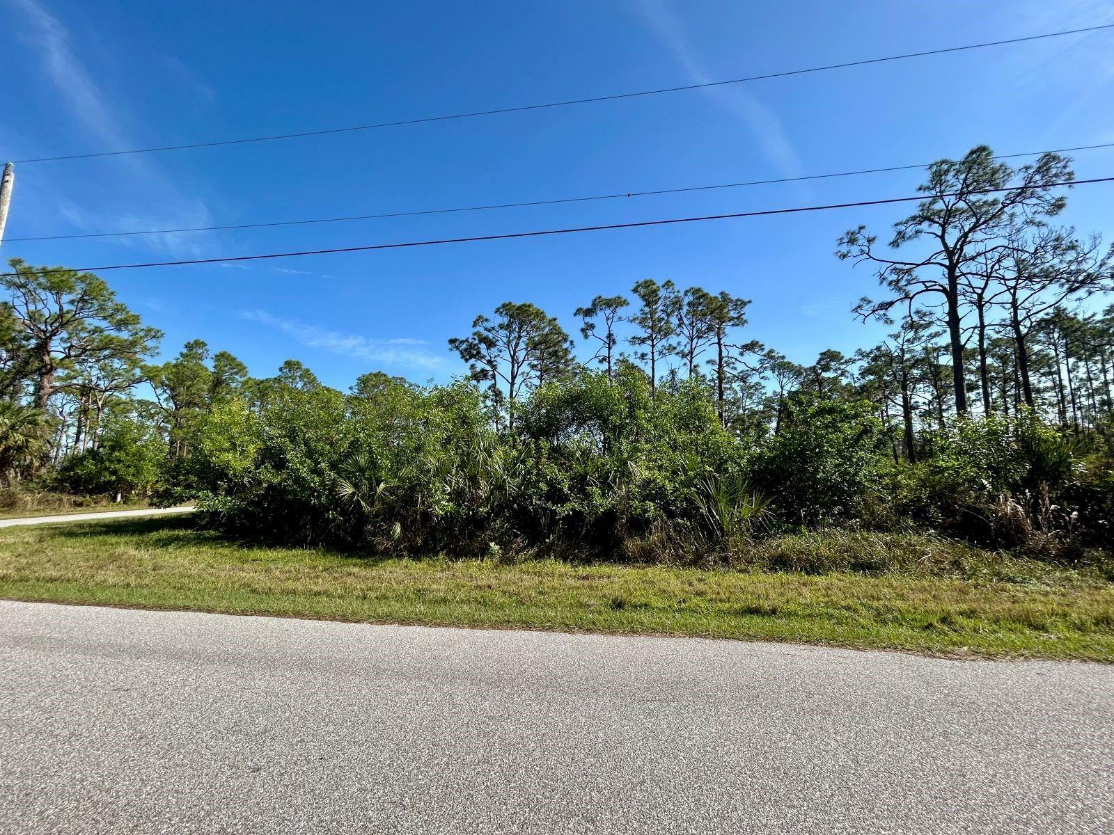 Property Photo:  13261 Gorman Avenue  FL 33981 