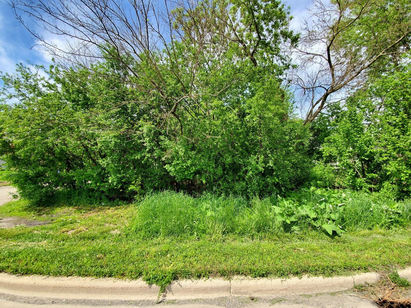 Property Photo:  2059 W Roosevelt Road  IL 60187 