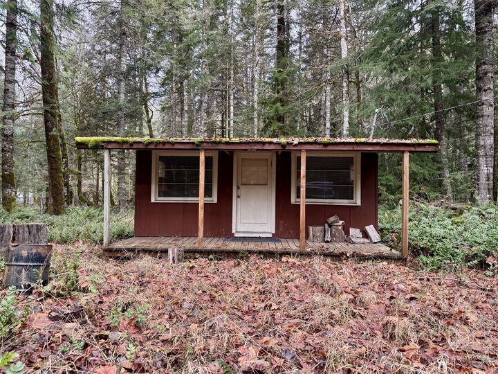 57011  387th Avenue Ct E  Ashford WA 98304 photo