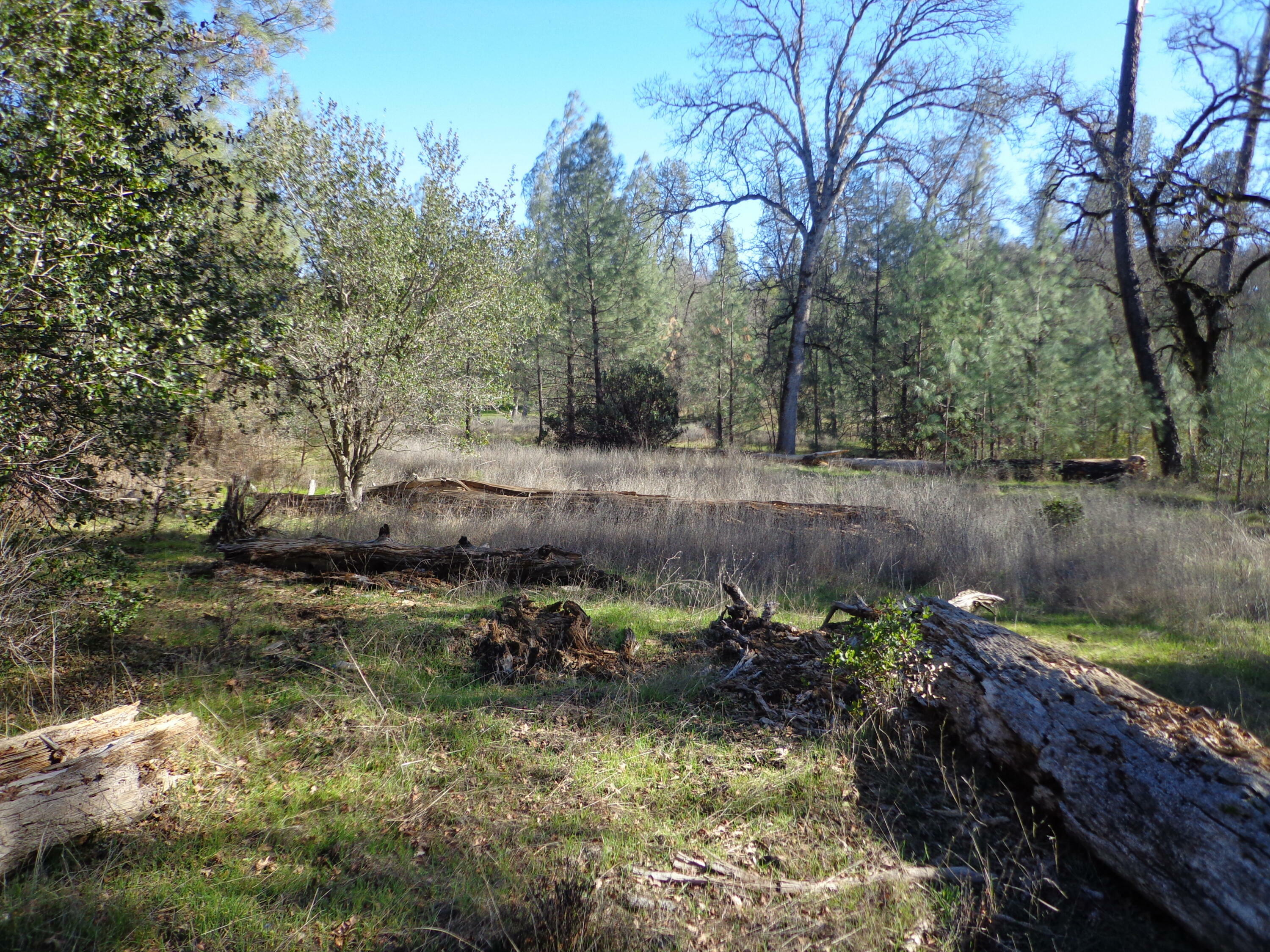 Property Photo:  15.5 Acres Hwy 299E  CA 96008 