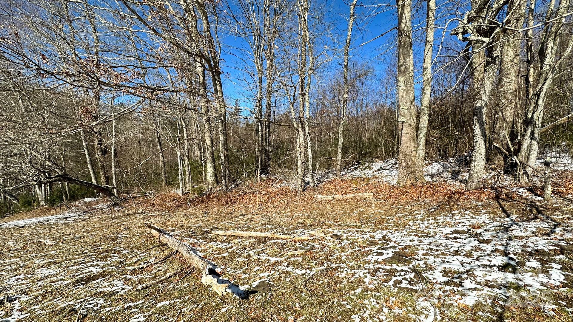Property Photo: Tbd Lower Nettle Knob Road Tract 2 NC 28694