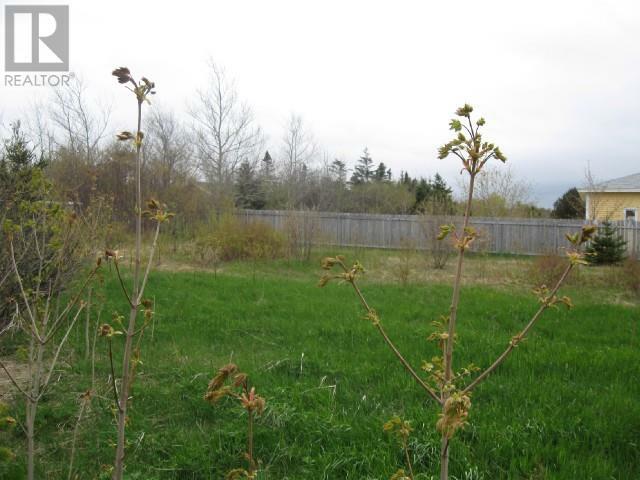 Property Photo: 12 - 14 Forest Road NL A1X 3G9