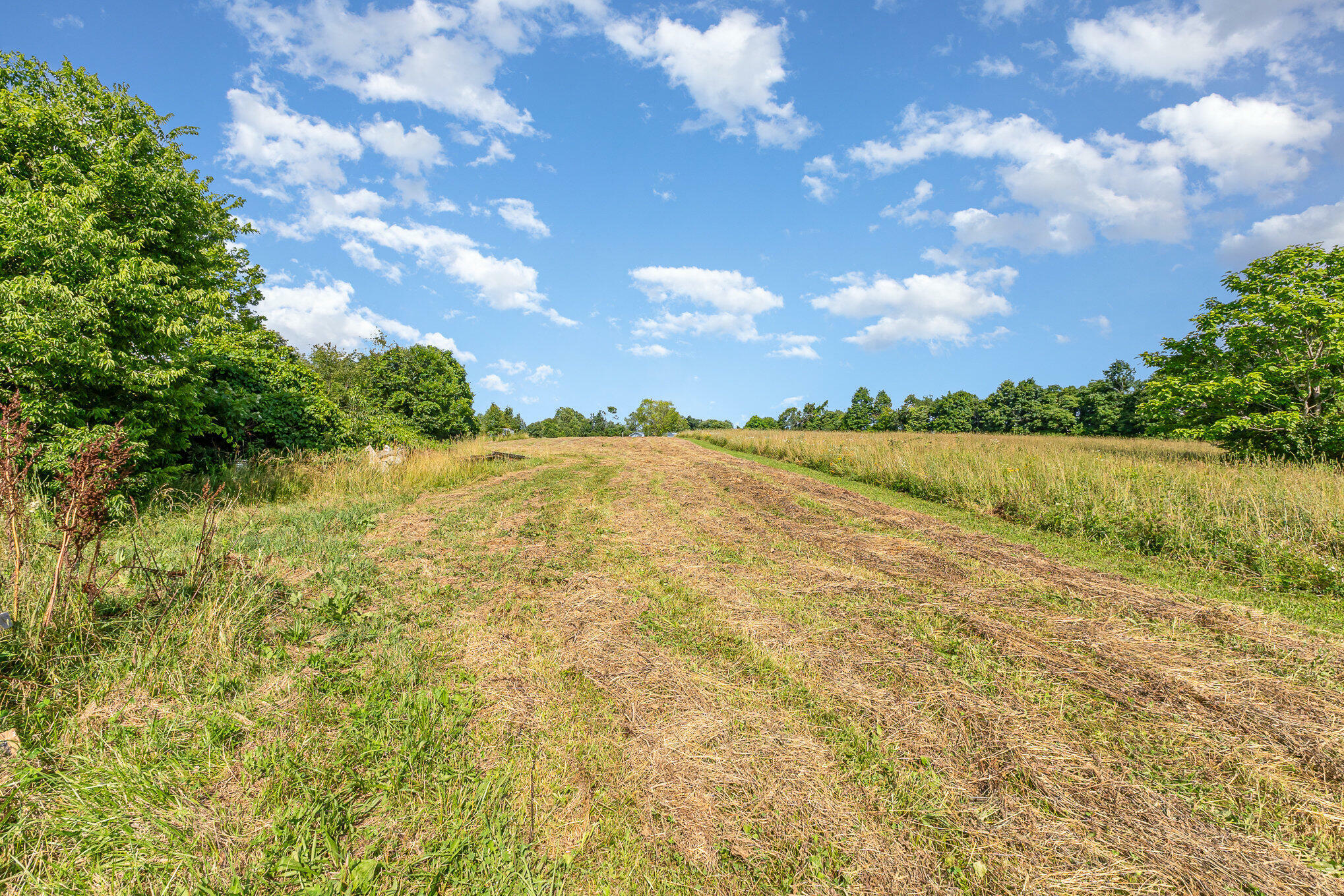 Property Photo: 1790 Stephenson Mill Lot B Road KY 41092