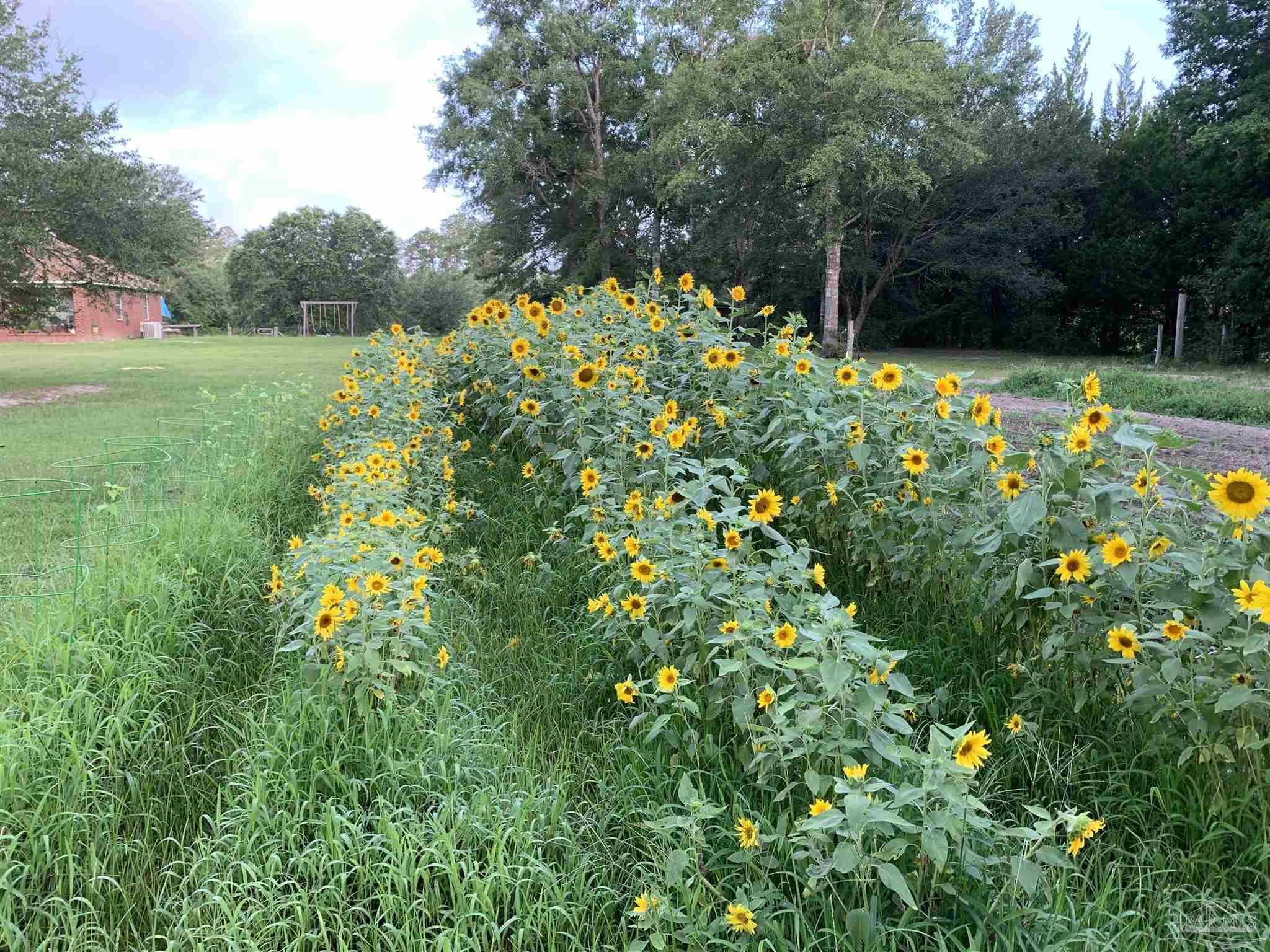 Property Photo: 7618 Chumuckla Hwy FL 32571