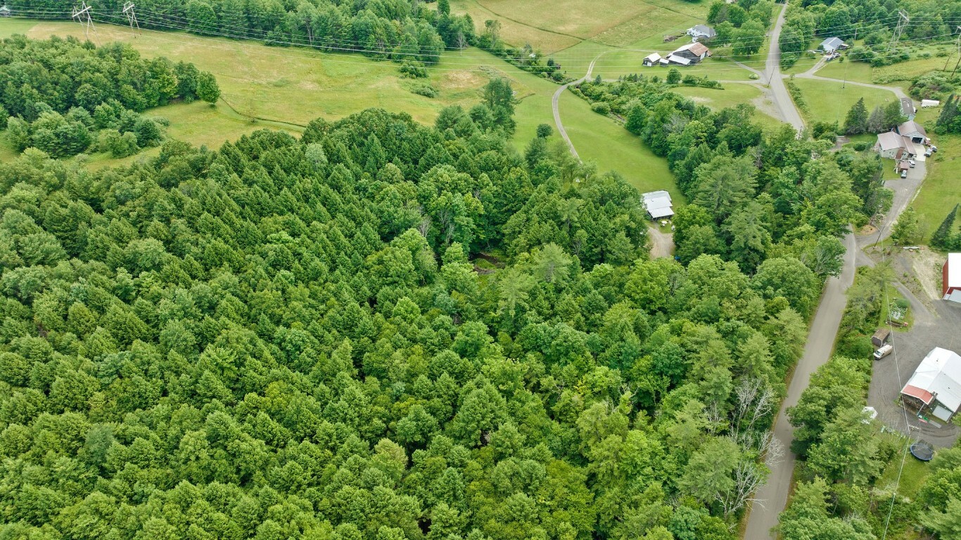 Property Photo: 2170 Bradley Creek Road NY 13790