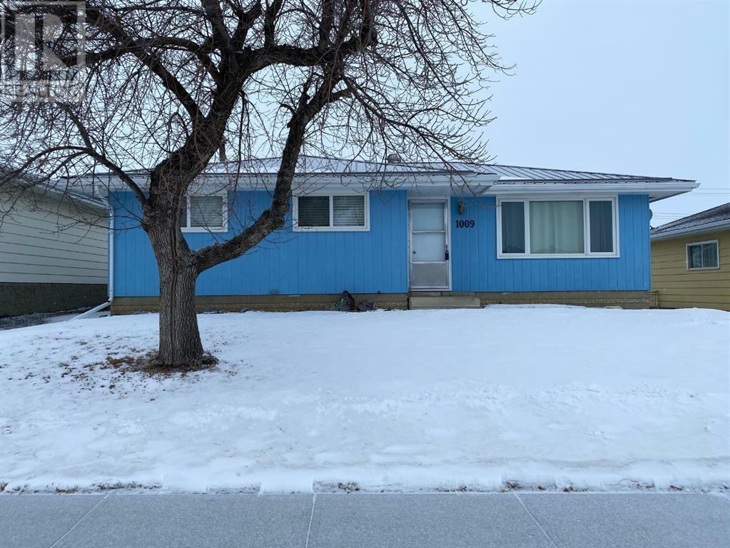 1009 2 Street SE  Drumheller AB T0J 0Y6 photo