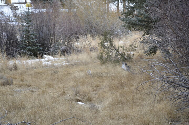 Property Photo:  60 N. 1270 W.  UT 84759