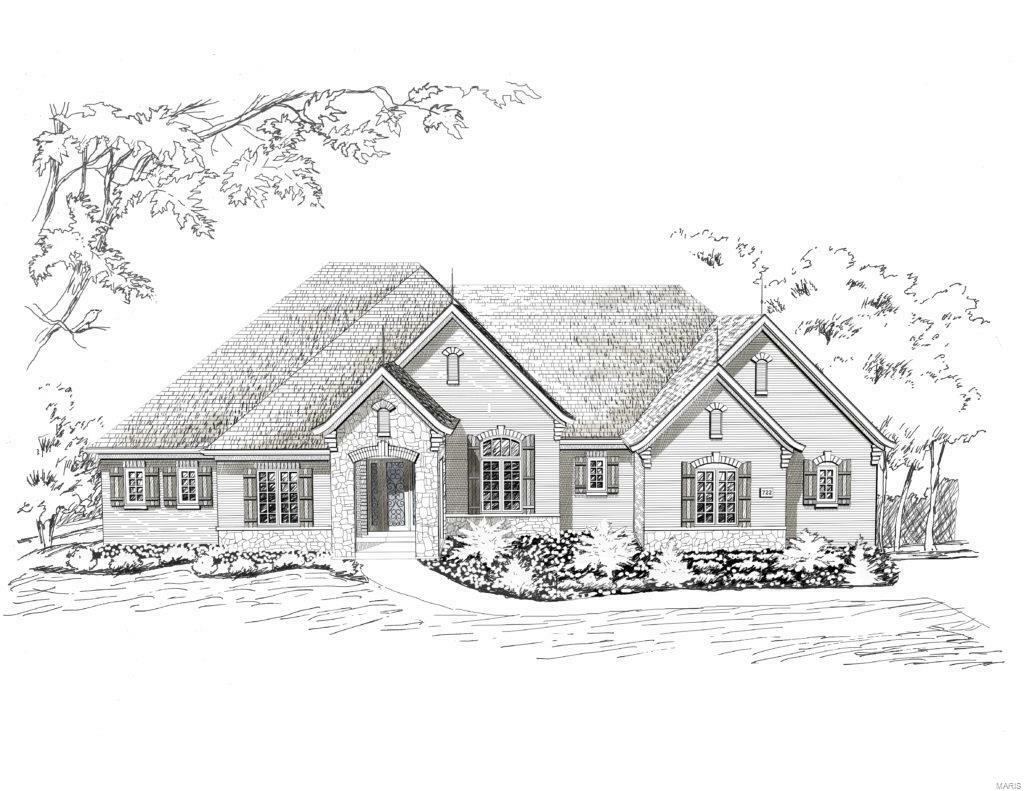 Property Photo: 1 Tbb Palenciasaxony Ridge MO 63385
