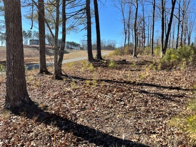 Lot 5 High River  Ellijay GA 30540 photo