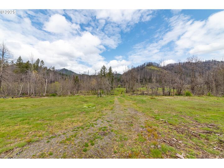 91737 Blue River Reservoir Rd  Blue River OR 97413 photo